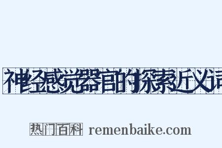 神经感觉器官的探索近义词是什么意思的图片